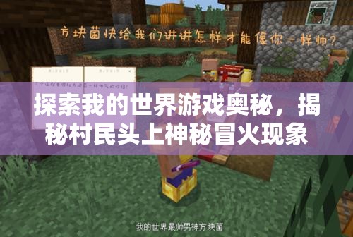 探索我的世界游戏奥秘，揭秘村民头上神秘冒火现象的奇异原因
