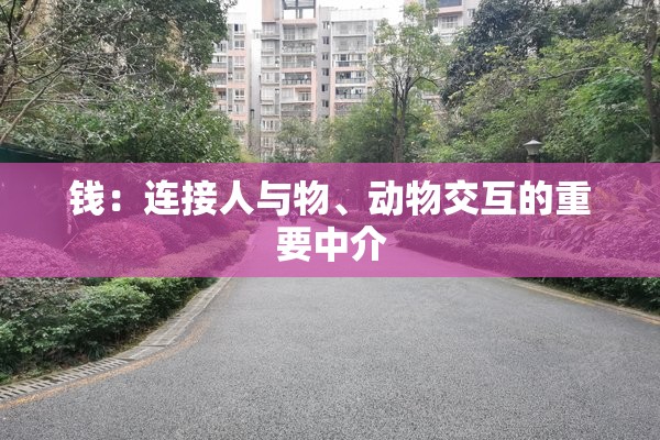 钱：连接人与物、动物交互的重要中介