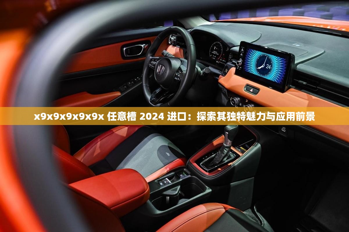 x9x9x9x9x9x 任意槽 2024 进口：探索其独特魅力与应用前景