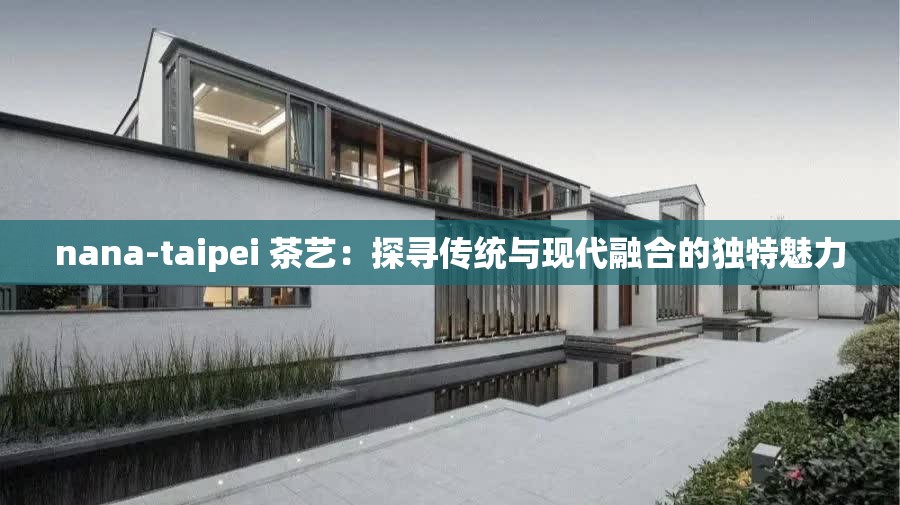 nana-taipei 茶艺：探寻传统与现代融合的独特魅力