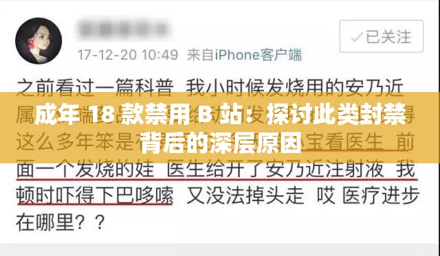 成年 18 款禁用 B 站：探讨此类封禁背后的深层原因