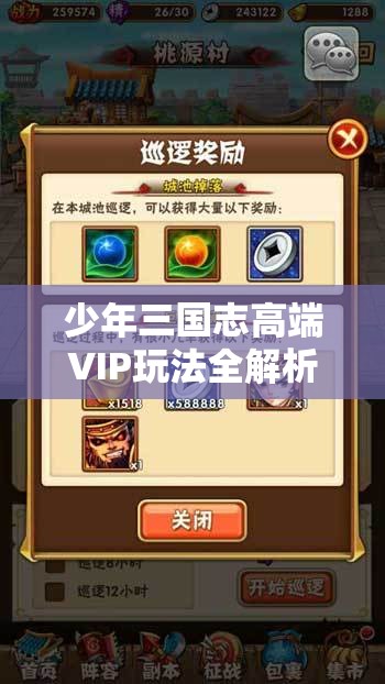 少年三国志高端VIP玩法全解析，策略布局与尊享特权如何相得益彰