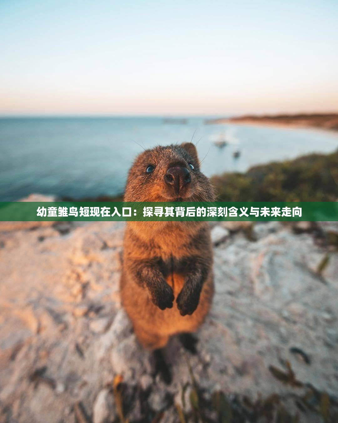 幼童雏鸟短现在入口：探寻其背后的深刻含义与未来走向