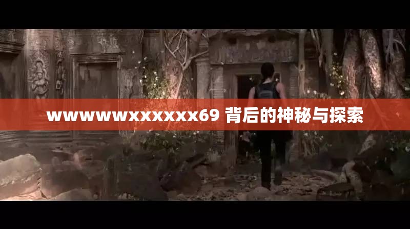 wwwwwxxxxxx69 背后的神秘与探索