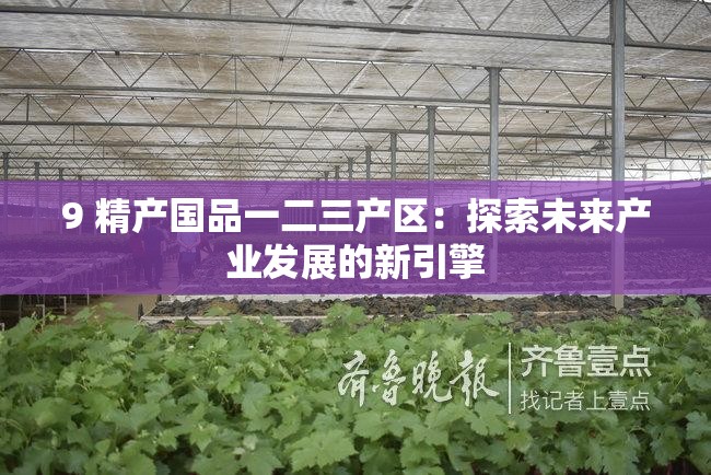 9 精产国品一二三产区：探索未来产业发展的新引擎