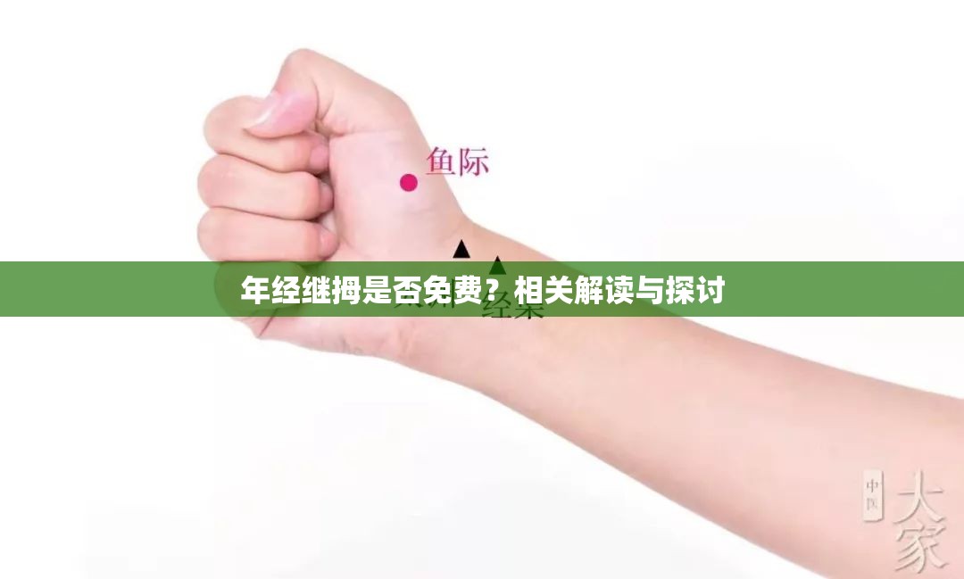 年经继拇是否免费？相关解读与探讨