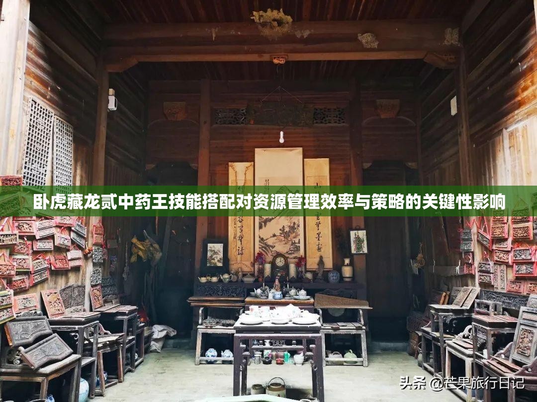 卧虎藏龙贰中药王技能搭配对资源管理效率与策略的关键性影响