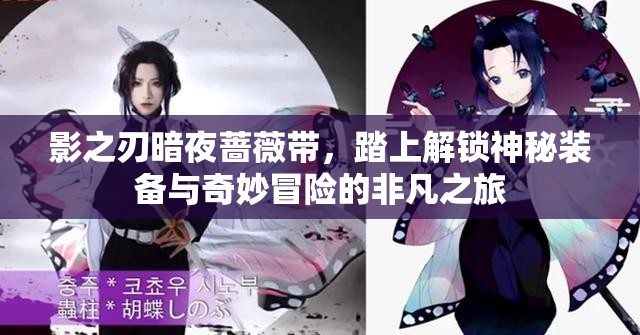 影之刃暗夜蔷薇带，踏上解锁神秘装备与奇妙冒险的非凡之旅