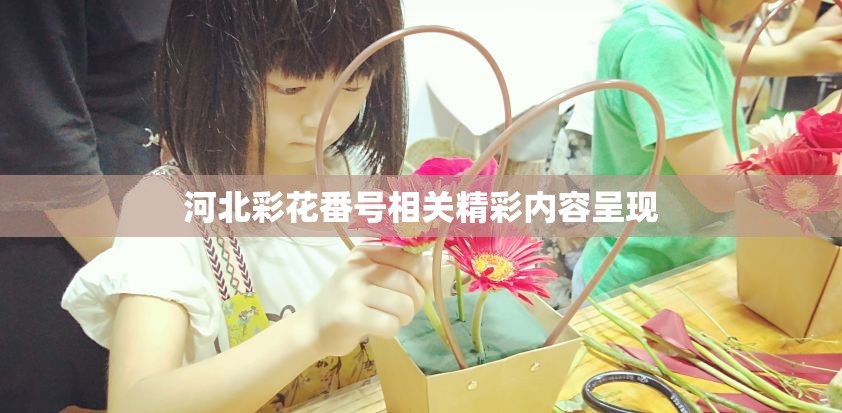 河北彩花番号相关精彩内容呈现