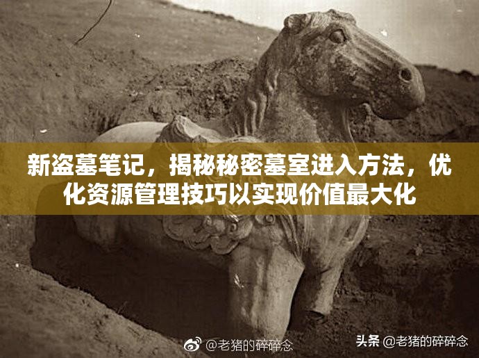 新盗墓笔记，揭秘秘密墓室进入方法，优化资源管理技巧以实现价值最大化