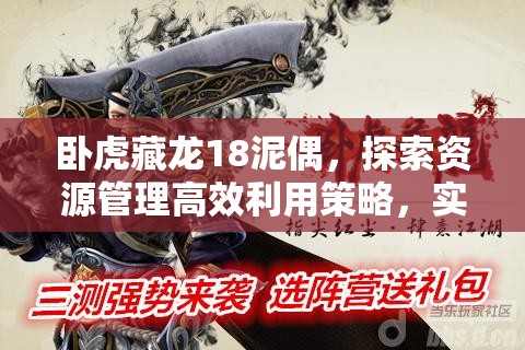 卧虎藏龙18泥偶，探索资源管理高效利用策略，实现价值最大化
