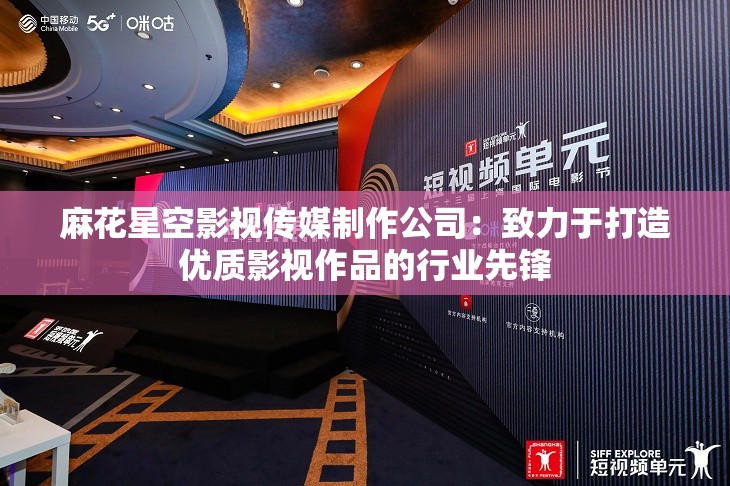 麻花星空影视传媒制作公司：致力于打造优质影视作品的行业先锋