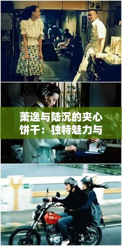 萧逸与陆沉的夹心饼干：独特魅力与情感纠葛