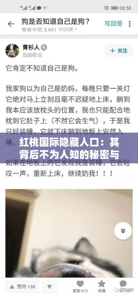 红桃国际隐藏人口：其背后不为人知的秘密与真相探寻