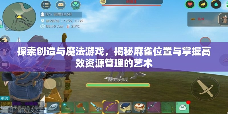 探索创造与魔法游戏，揭秘麻雀位置与掌握高效资源管理的艺术