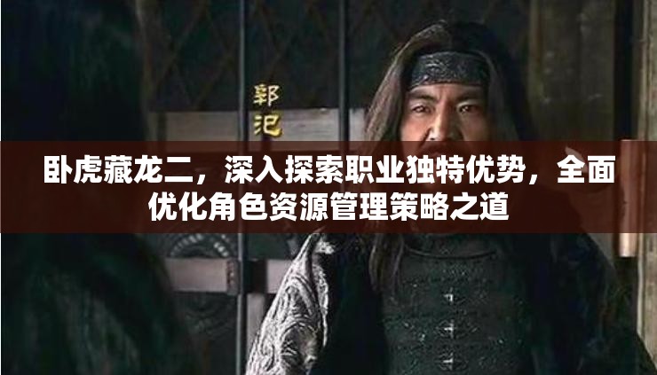 卧虎藏龙二，深入探索职业独特优势，全面优化角色资源管理策略之道
