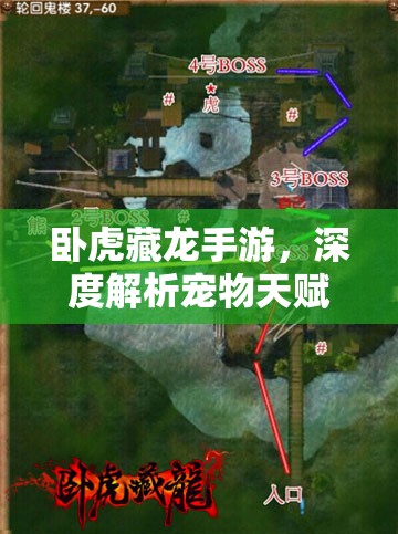 卧虎藏龙手游，深度解析宠物天赋技能的重要性及高效管理策略