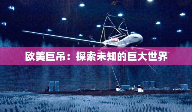 欧美巨吊：探索未知的巨大世界