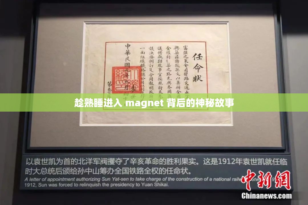 趁熟睡进入 magnet 背后的神秘故事