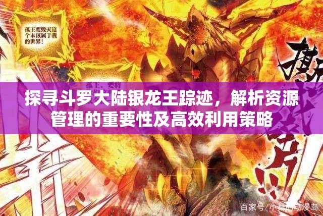 探寻斗罗大陆银龙王踪迹，解析资源管理的重要性及高效利用策略