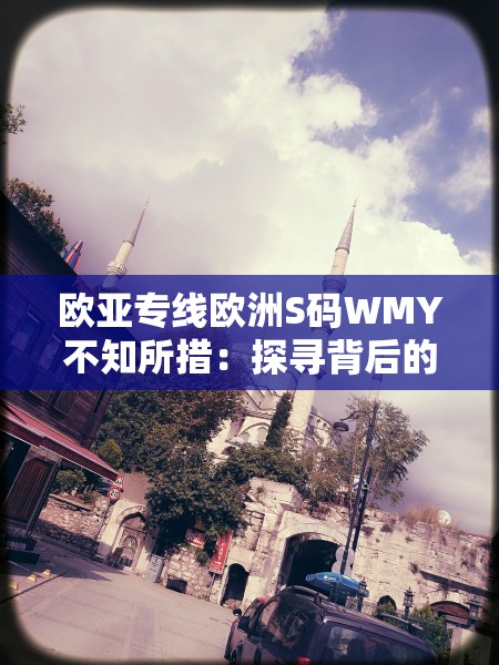 欧亚专线欧洲S码WMY不知所措：探寻背后的神秘与困惑
