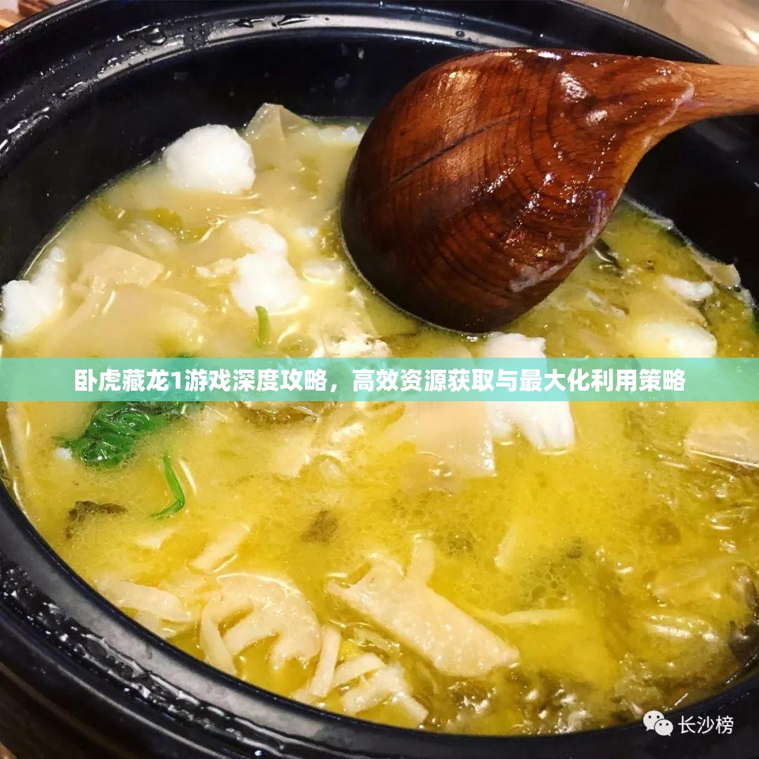 卧虎藏龙1游戏深度攻略，高效资源获取与最大化利用策略