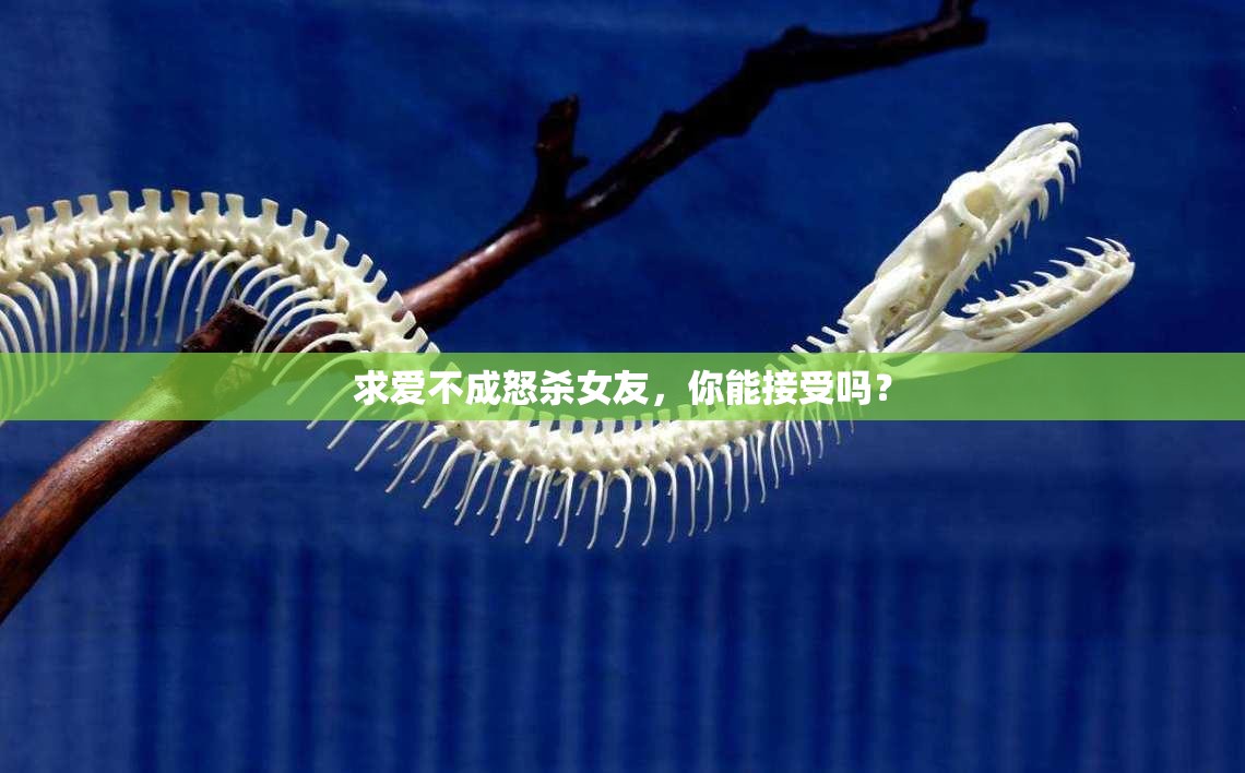 求爱不成怒杀女友，你能接受吗？