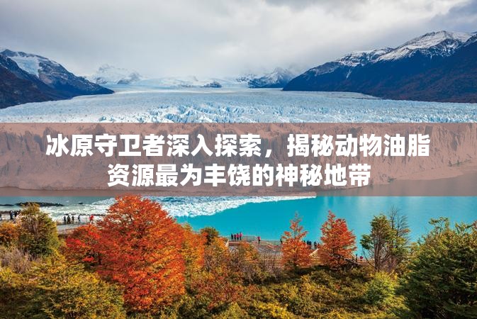 冰原守卫者深入探索，揭秘动物油脂资源最为丰饶的神秘地带