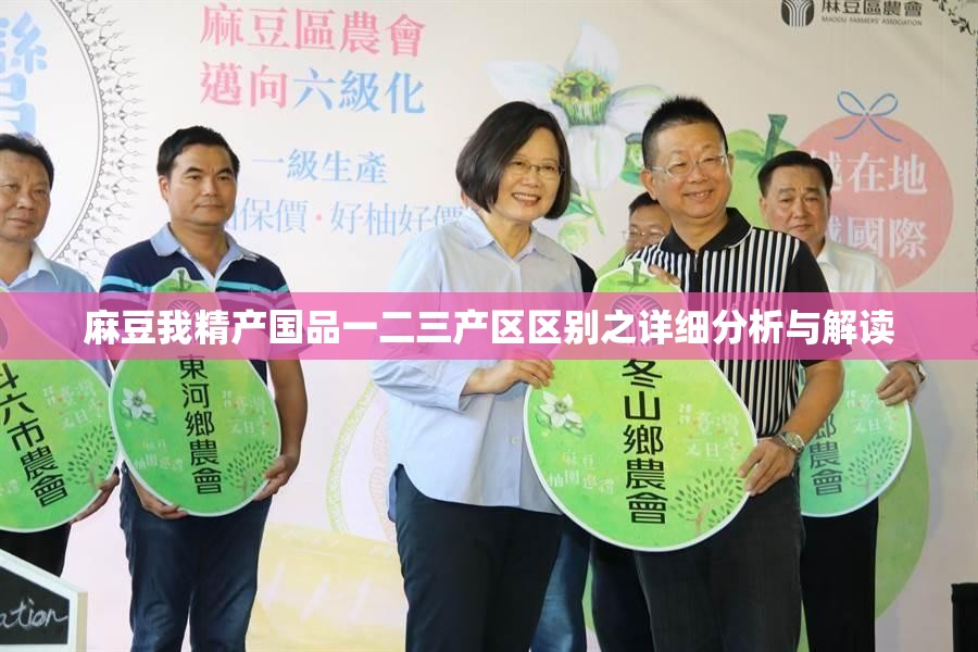 麻豆我精产国品一二三产区区别之详细分析与解读