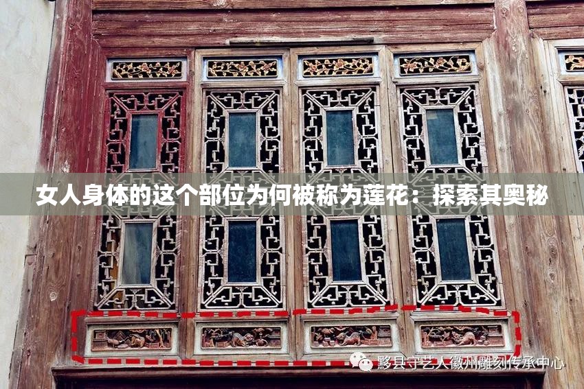 女人身体的这个部位为何被称为莲花：探索其奥秘