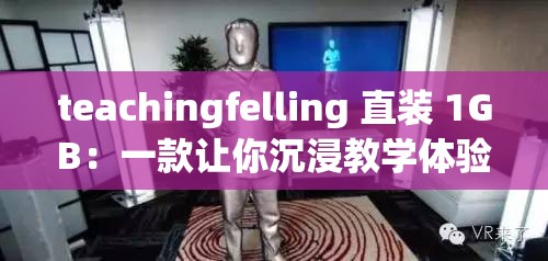 teachingfelling 直装 1GB：一款让你沉浸教学体验的软件