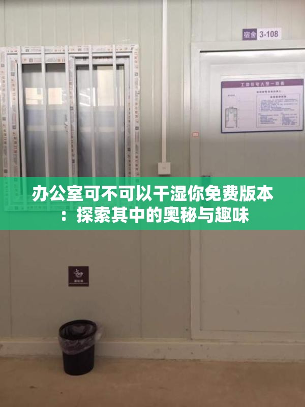 办公室可不可以干湿你免费版本：探索其中的奥秘与趣味