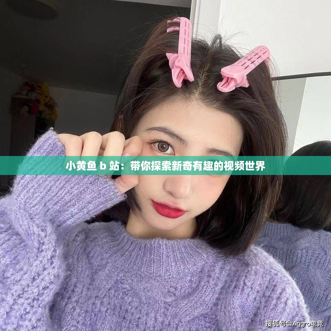小黄鱼 b 站：带你探索新奇有趣的视频世界