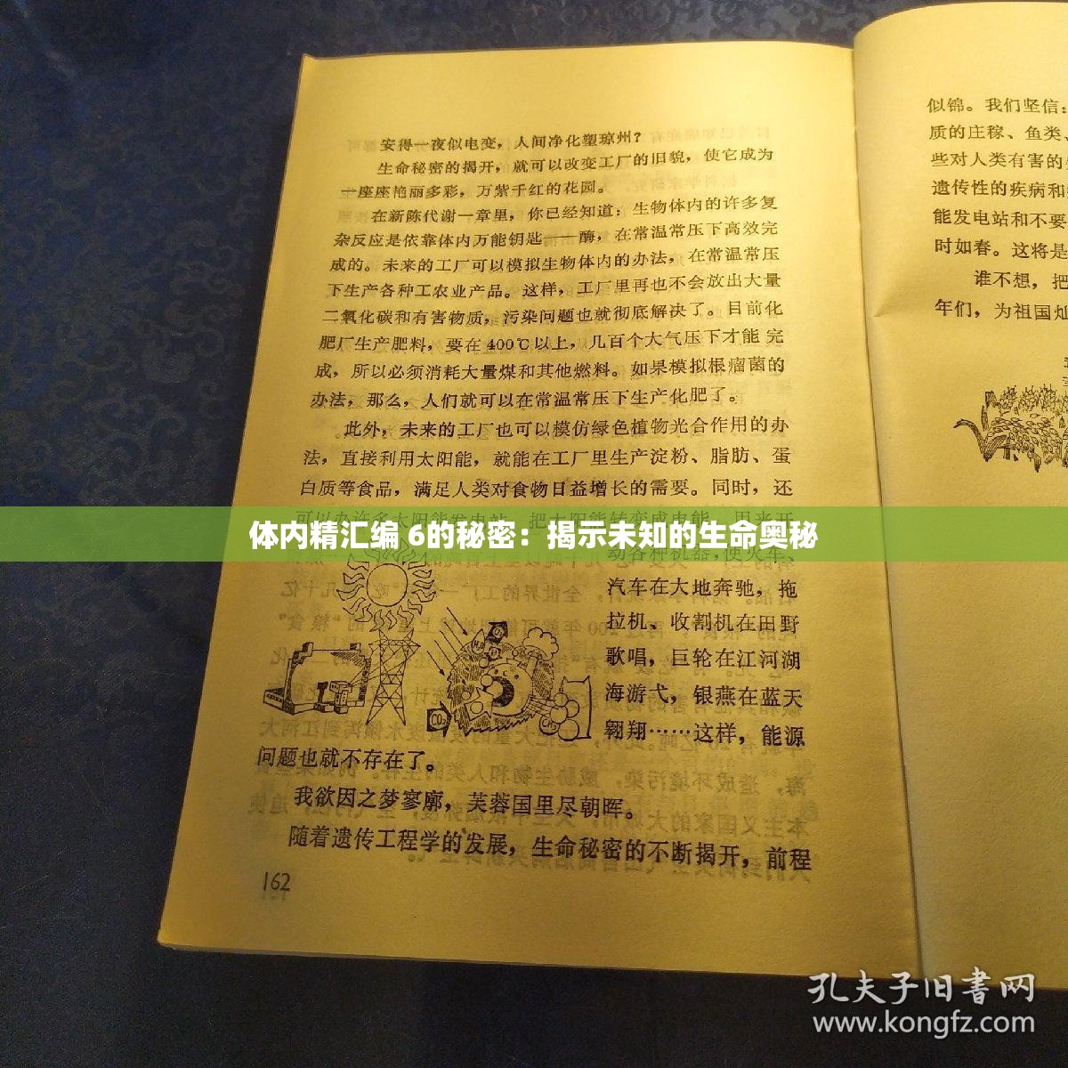 体内精汇编 6的秘密：揭示未知的生命奥秘