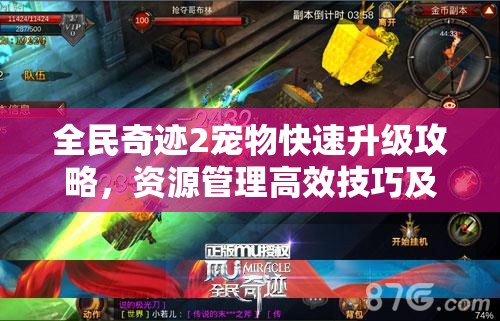 全民奇迹2宠物快速升级攻略，资源管理高效技巧及避免资源浪费策略