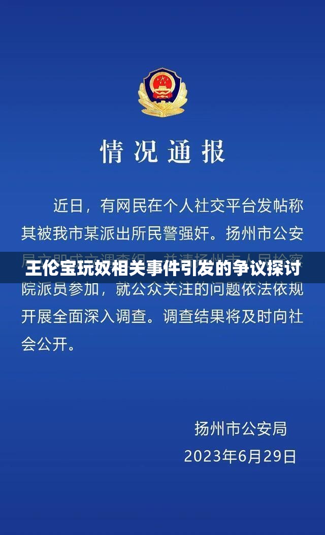 王伦宝玩奴相关事件引发的争议探讨