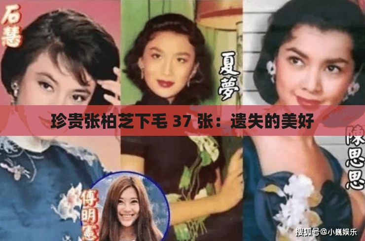 珍贵张柏芝下毛 37 张：遗失的美好