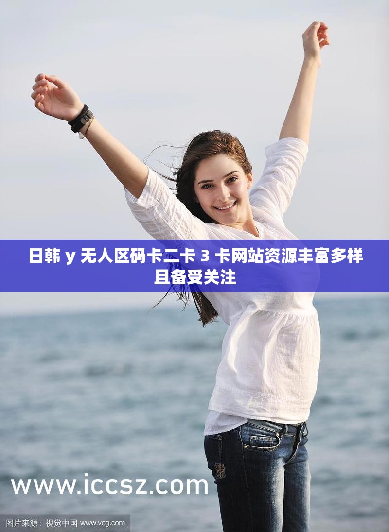 日韩 y 无人区码卡二卡 3 卡网站资源丰富多样且备受关注