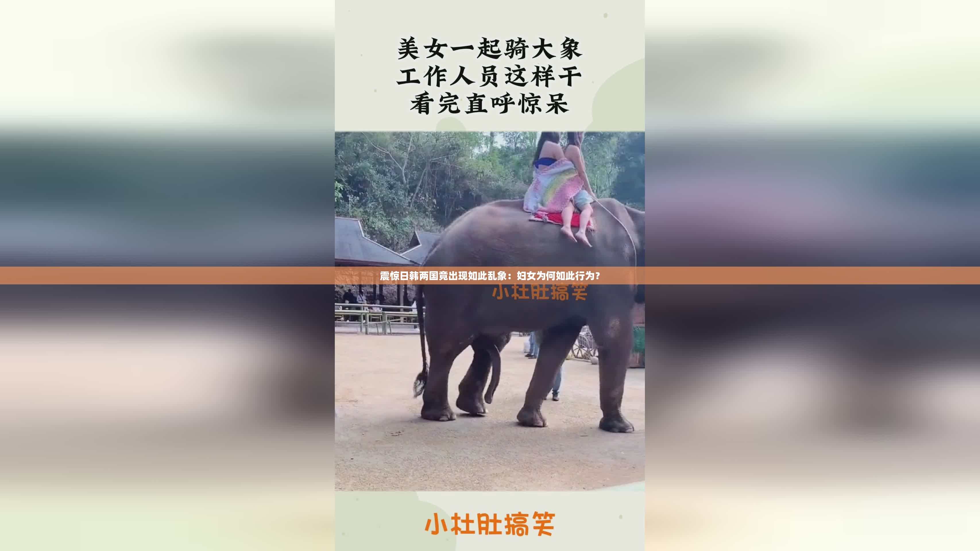 震惊日韩两国竟出现如此乱象：妇女为何如此行为？