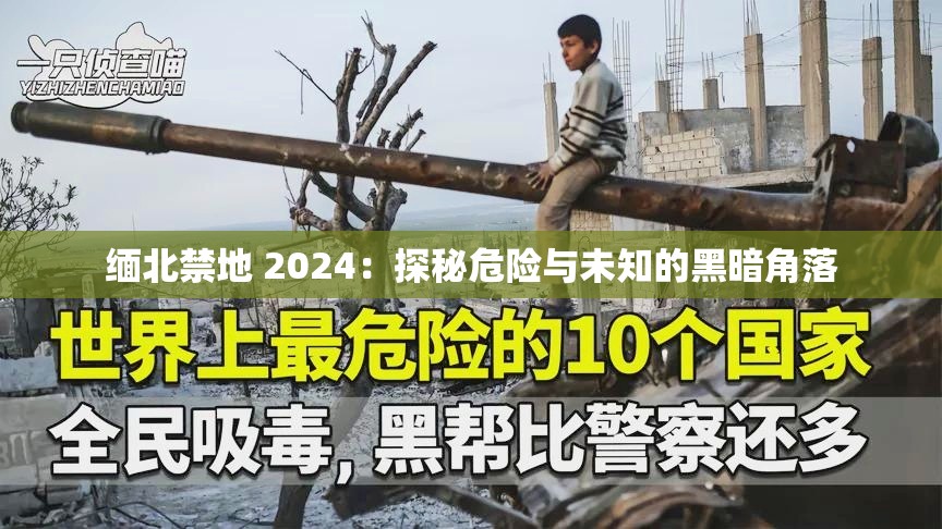 缅北禁地 2024：探秘危险与未知的黑暗角落
