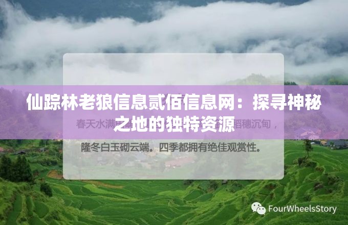 仙踪林老狼信息贰佰信息网：探寻神秘之地的独特资源