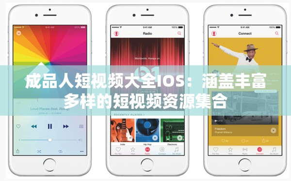 成品人短视频大全IOS：涵盖丰富多样的短视频资源集合