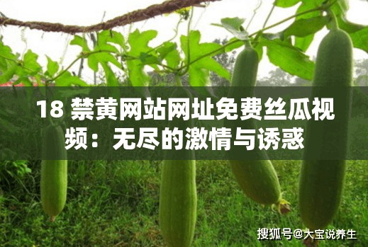 18 禁黄网站网址免费丝瓜视频：无尽的激情与诱惑