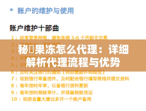 秘媞果冻怎么代理：详细解析代理流程与优势