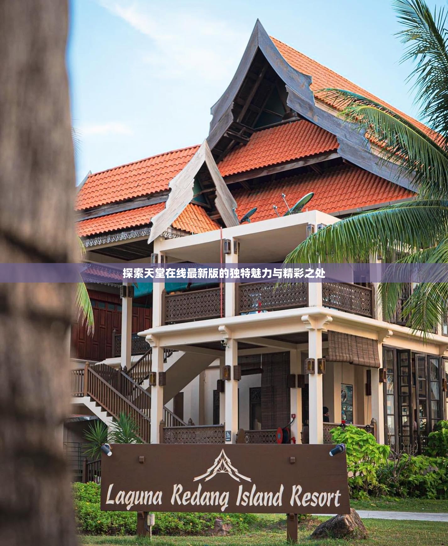 探索天堂在线最新版的独特魅力与精彩之处