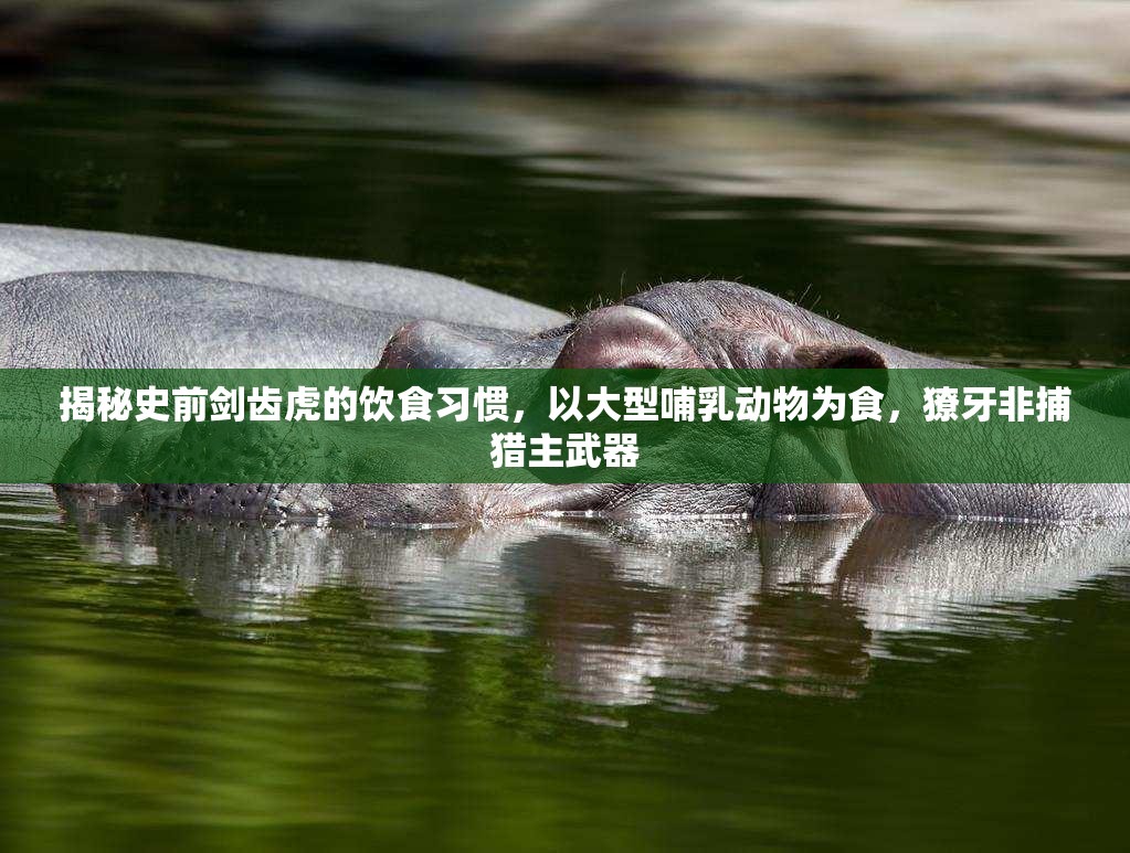 揭秘史前剑齿虎的饮食习惯，以大型哺乳动物为食，獠牙非捕猎主武器