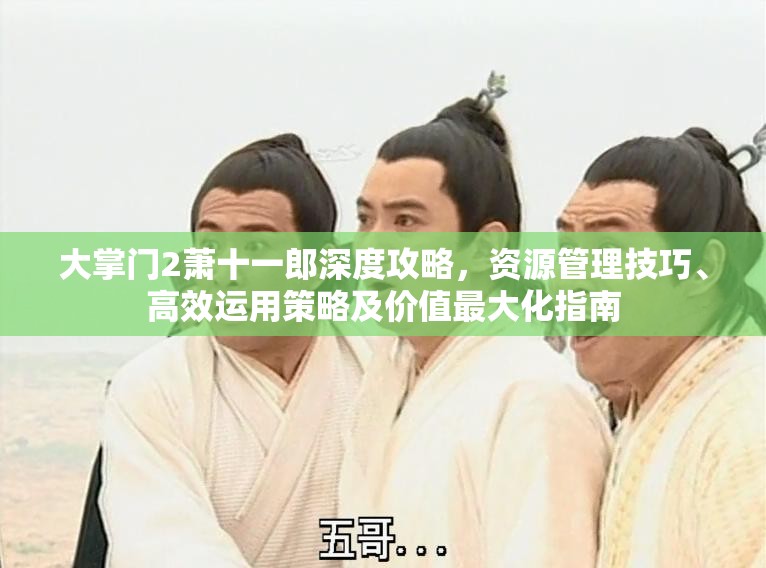 大掌门2萧十一郎深度攻略，资源管理技巧、高效运用策略及价值最大化指南