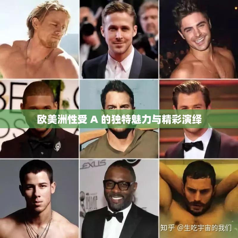欧美洲性受 A 的独特魅力与精彩演绎