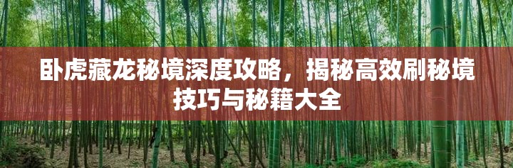 卧虎藏龙秘境深度攻略，揭秘高效刷秘境技巧与秘籍大全