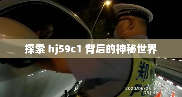探索 hj59c1 背后的神秘世界